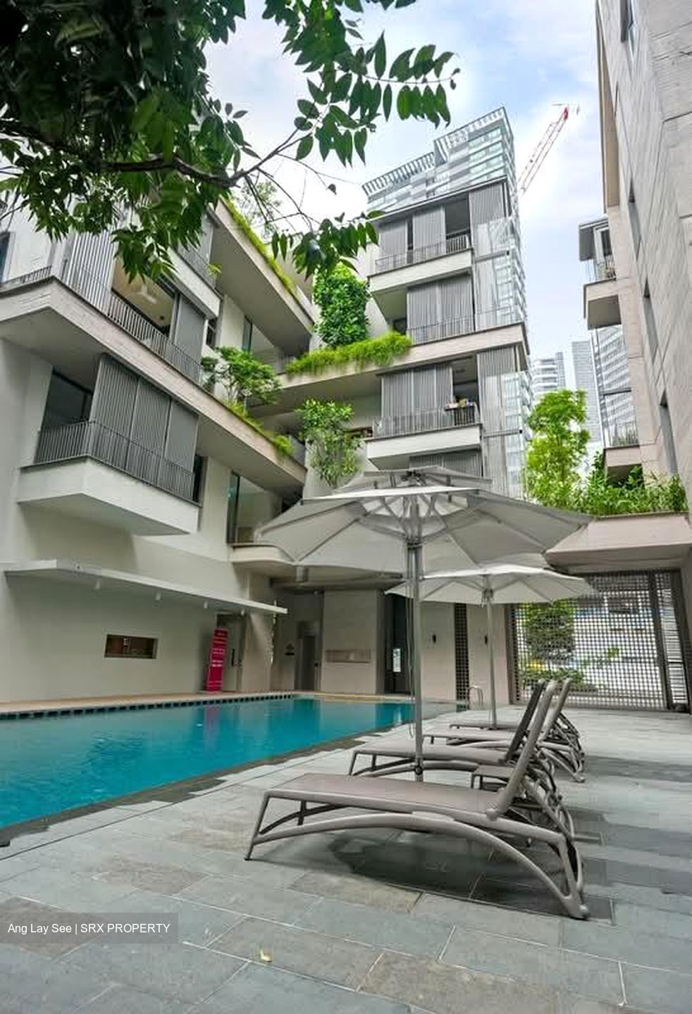 10 Evelyn (D11), Apartment #584371171